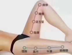 -香薇妮丝女子减肥院