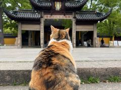 -西园戒幢律寺