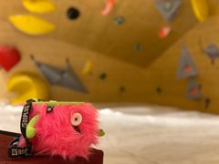 -Upper Climbing Gym 攀岩(华侨城店)