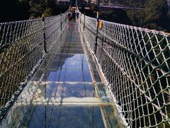 -梦幻奥陶纪景区