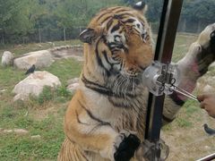 -西安秦岭野生动物园