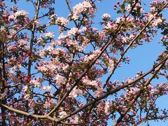 -眉山湿地公园(东坡区)