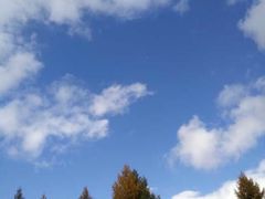 -苏木山森林公园