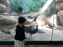 -福州罗源湾海洋世界旅游区