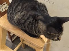 -猫的天空之城概念书店(西塘古镇店)