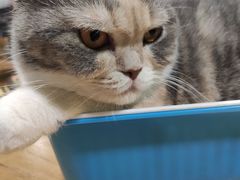 -藦茜花园宠物主题亲子互动体验馆(国顺东路店)