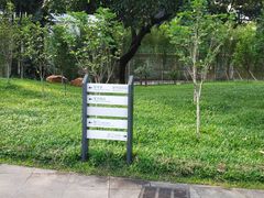 -晓港公园