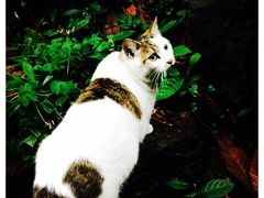 小雅青年旅舍-小雅青年旅舍(平江路店)