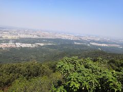 -紫金山索道-售票处