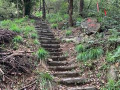 -青龙山国家森林公园