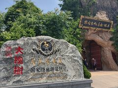 -大槐树寻根祭祖园