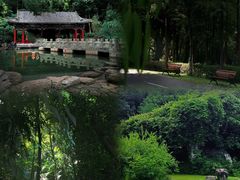 -深圳国际园林花卉博览园