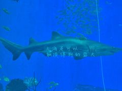 -南昌融创海世界