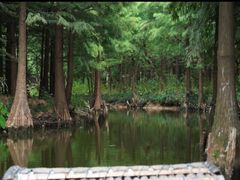 -靖西鹅泉风景区