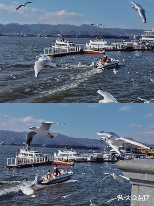 海埂大坝图片