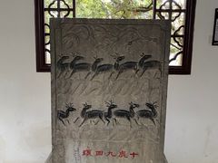 -上海醉白池公园