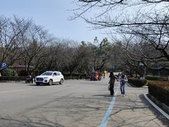 -武汉大学-樱园