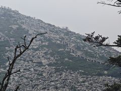 -朱雀国家森林公园
