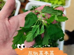 -四海酒家生态粤菜