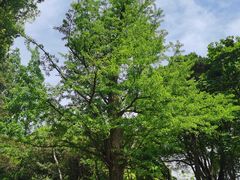 -上海方塔园