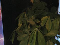 -泰之源足浴会所(玉环店)