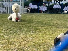 -宝山日月光中心