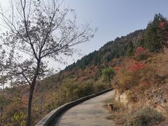 -府君山公园