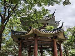 -水濂山森林公园