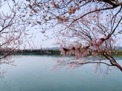 -颐和园