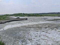 -绿堤公园