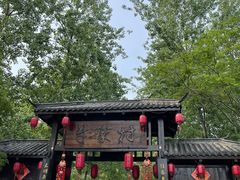 -合肥滨湖国家森林公园