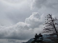 -朱雀国家森林公园
