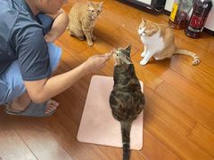 -纽斯桑拿会所(天山店)