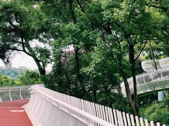 -金鸡山公园