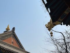 -护国法轮寺
