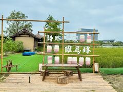 -杭州湾海上花田景区