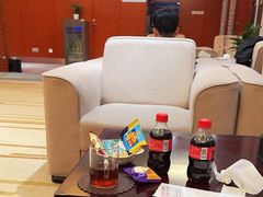 -郑州新郑国际机场T2航站楼-贵宾厅B区