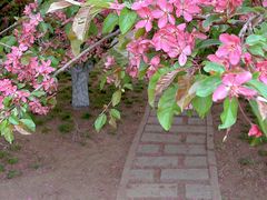 -元大都城垣遗址公园