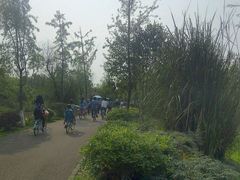 -白鹭湾湿地公园