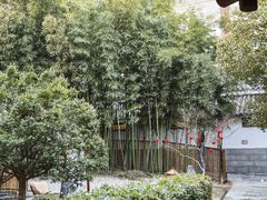 -观唐（国际）度假村温泉