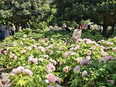 -郑州植物园