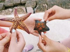 -悦海公园