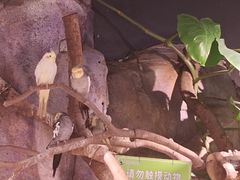 -正佳雨林生态植物园