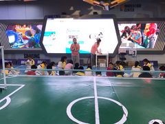 -中国宋庆龄青少年科技文化交流中心