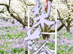 -江苏三台山国家森林公园