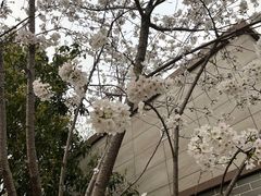 -Moka Bros 摩卡站(嘉华店)