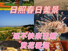-渡海小渔村.老辈日照菜