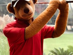 景点-济州岛泰迪熊博物馆