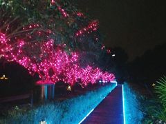 -洪湖家庭农场·团建·露营·会议