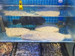 -前王院•巧克力海鲜市集餐厅(万平口店)